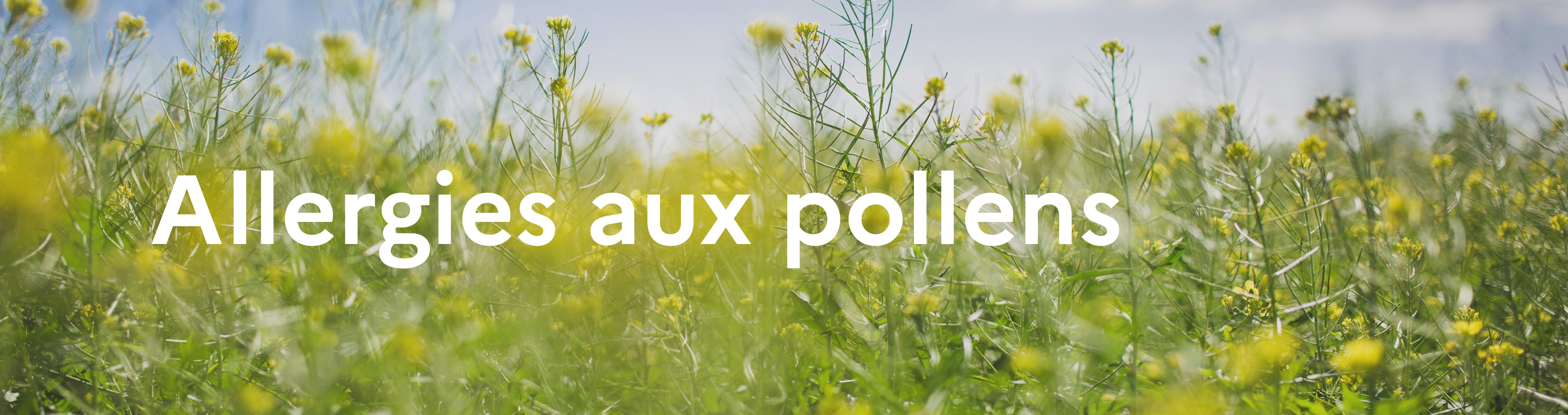 Bannière thématique allergies aux pollens