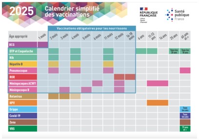 Image calendrier vaccination 2025