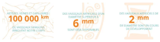 3_pictos_vaisseaux.png