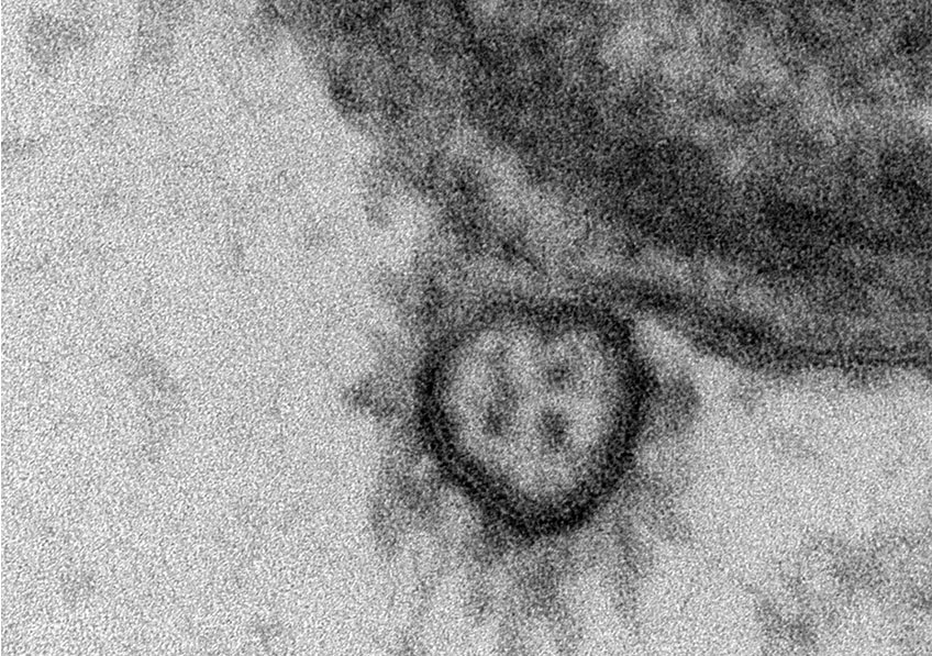 c-dans-l-air-fake-virus-lab_1.jpg