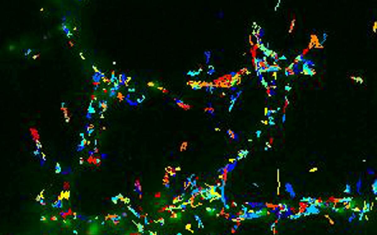 neurones-scaled_0.jpg